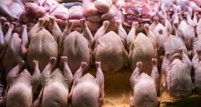 قیمت جدید مرغ و تخممرغ اعلام شد/ طلاکش: بالاتر از این قیمت مرغ نخرید