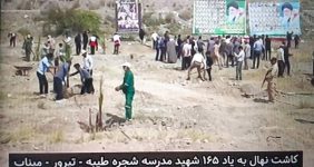 کاشت ۲۰۰ نخل در شهر تیرور میناب
