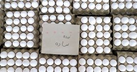 خروج تخم‌مرغ از کشور رسما متوقف شد/ منتظر کاهش قیمت تخم‌مرغ در بازار باشید!