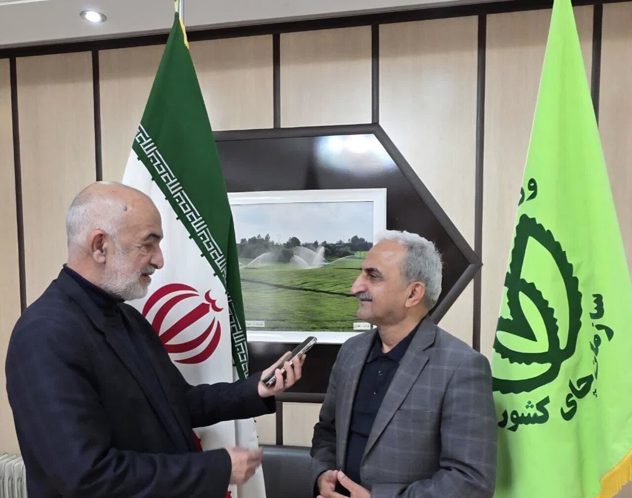 رییس سازمان چای کشور در گفتگو با خبرآنلاین گیلان؛خرید برگ سبز چای از اوایل اردیبهشت؛ ۱۰۰ کارخانه چای‌سازی قرارداد بستند