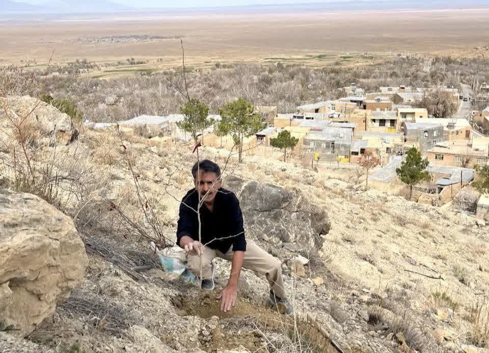کاشت ۵۰ اصله نهال توت در ارتفاعات «سرچیل»، گامی راهبردی برای تقویت گردشگری پایدار در روستای قلعه‌بالای شاهرود