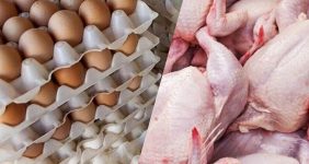 قیمت جدید گوشت، تخم‌مرغ و مرغ رسما اعلام شد/ جزییات قیمت