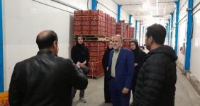 بازدید مدیرکل استاندارد لرستان از سردخانه ۴ هزار تنی بروجرد