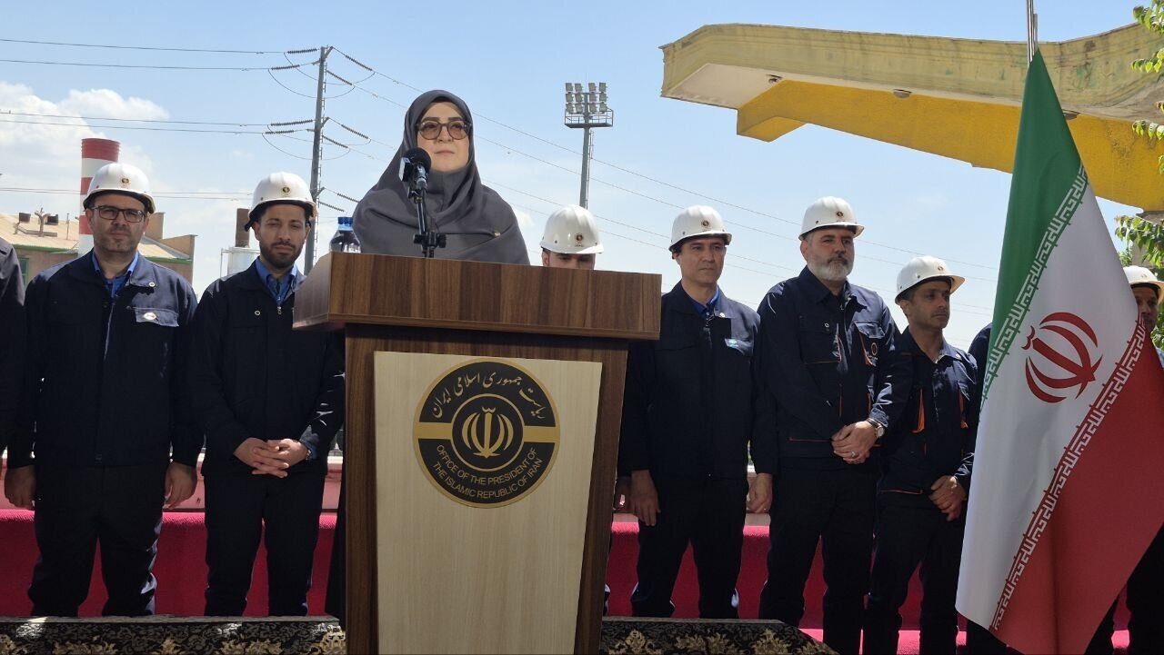 اعلام آخرین خبر درباره اینترنت بین الملل از سوی سخنگوی دولت/ اینترنت پرو، مصوبه‌ شورای عالی امنیت ملی است/ این دوره فرصتی برای اصلاح سکوهای داخلی بود