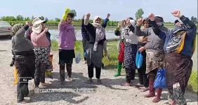 ببینید