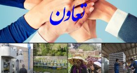صادرات ۳۸ هزار دلاری و اشتغال پایدار تعاونیهای زنجان در سال گذشته