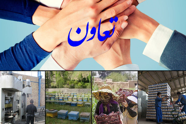 صادرات ۳۸ هزار دلاری و اشتغال پایدار تعاونی‌های زنجان در سال گذشته