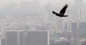 متوسط قیمت مسکن تهران اعلام شد/ خریداران از بازار فرار کردند