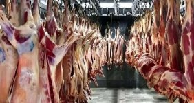 قیمت جدید گوشت قرمز امروز ۱۶ اردیبهشت ۱۴۰۵/ ران گوساله یک میلیون و ۷۰۰ هزار تومان شد + جدول