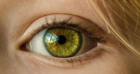 ویژگی نادری که فقط ۲ درصد انسان‌ها دارند